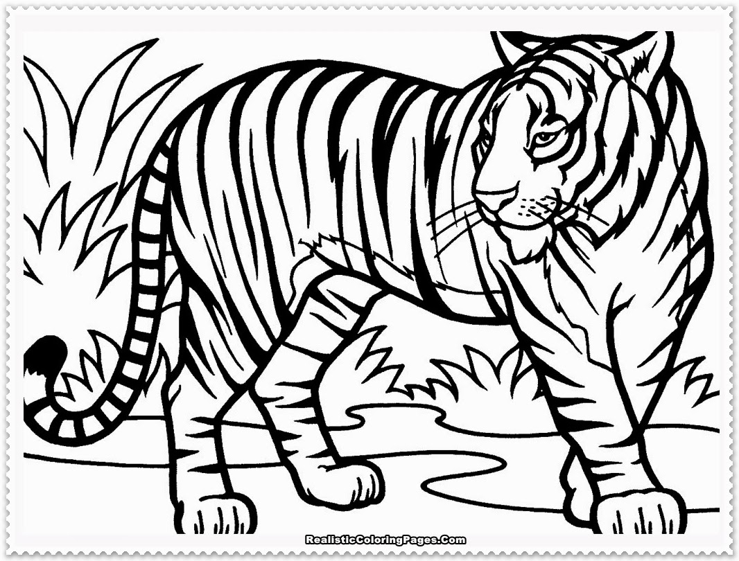  Tiger coloring pages | Animal coloring pages | #28