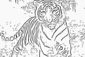 Tiger coloring pages | Animal coloring pages | #29
