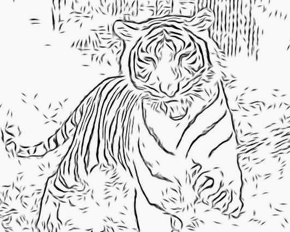  Tiger coloring pages | Animal coloring pages | #29