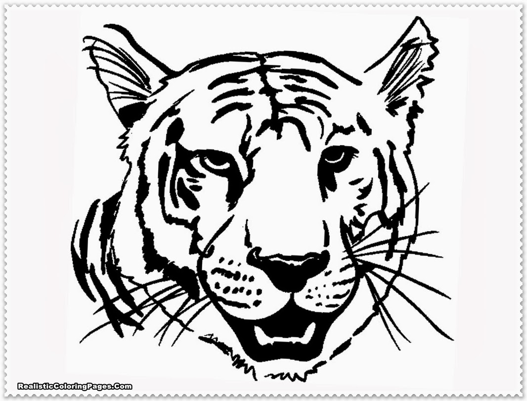  Tiger coloring pages | Animal coloring pages | #30