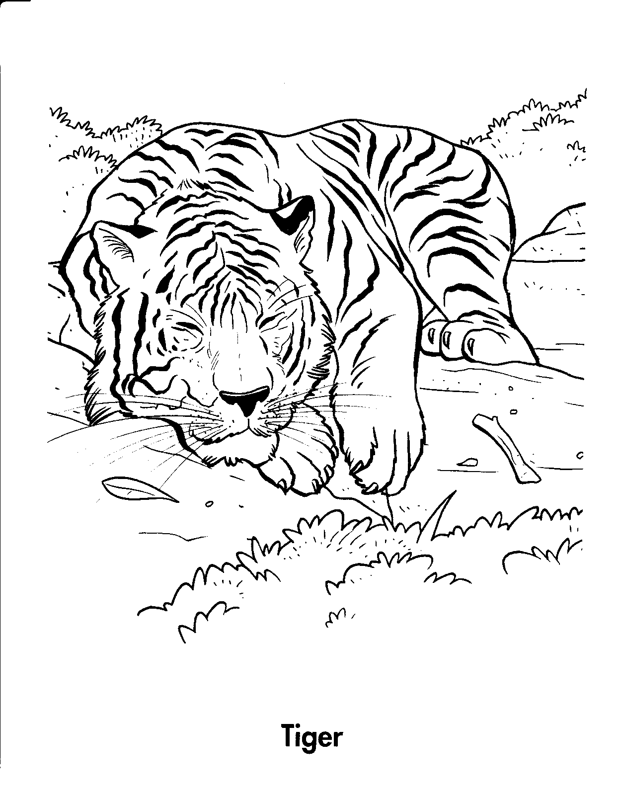  Tiger coloring pages | Animal coloring pages | #32