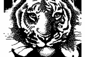 Tiger coloring pages | Animal coloring pages | #37