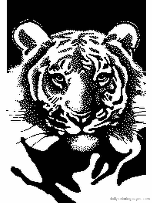  Tiger coloring pages | Animal coloring pages | #37