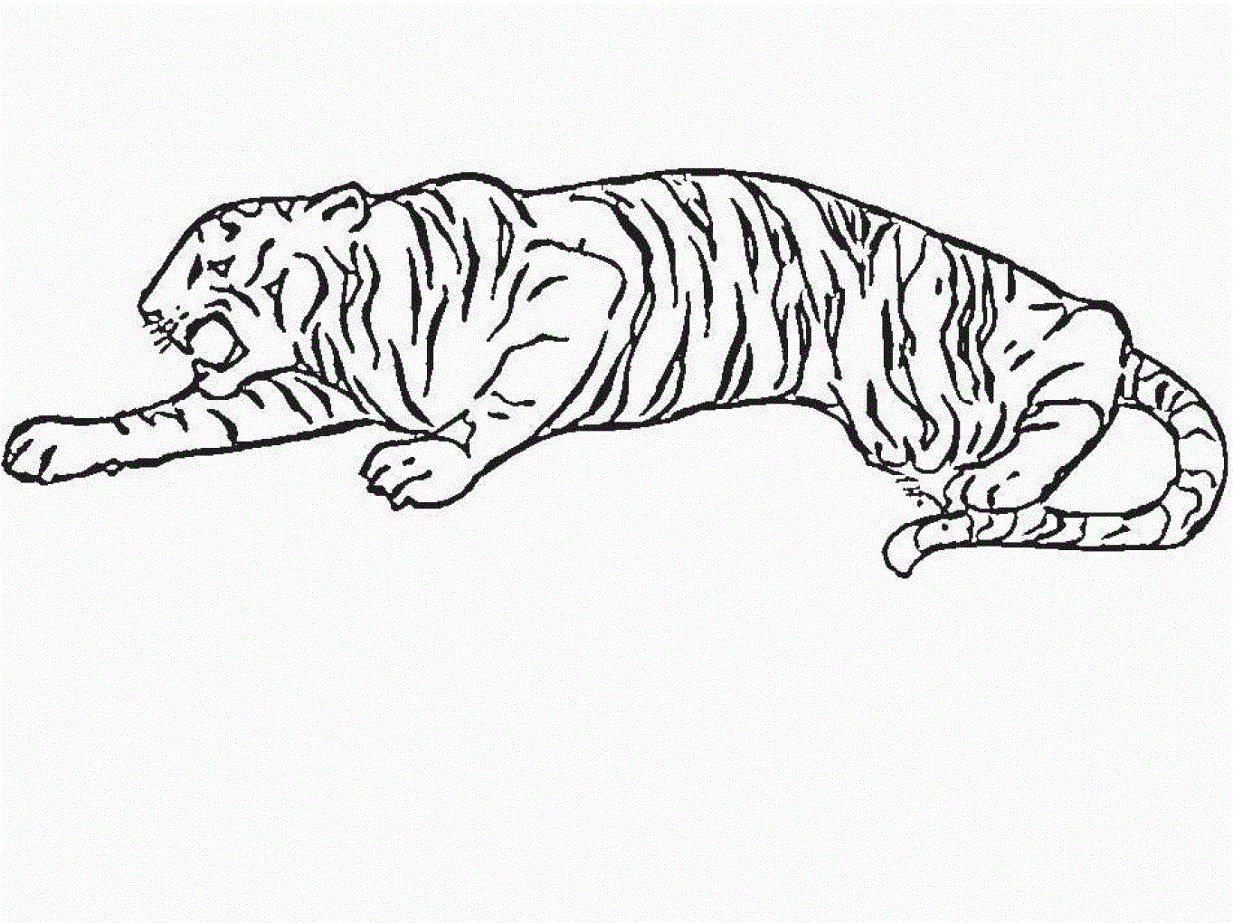 Tiger coloring pages | Animal coloring pages | #38