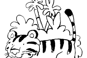 Tiger coloring pages | Animal coloring pages | #9