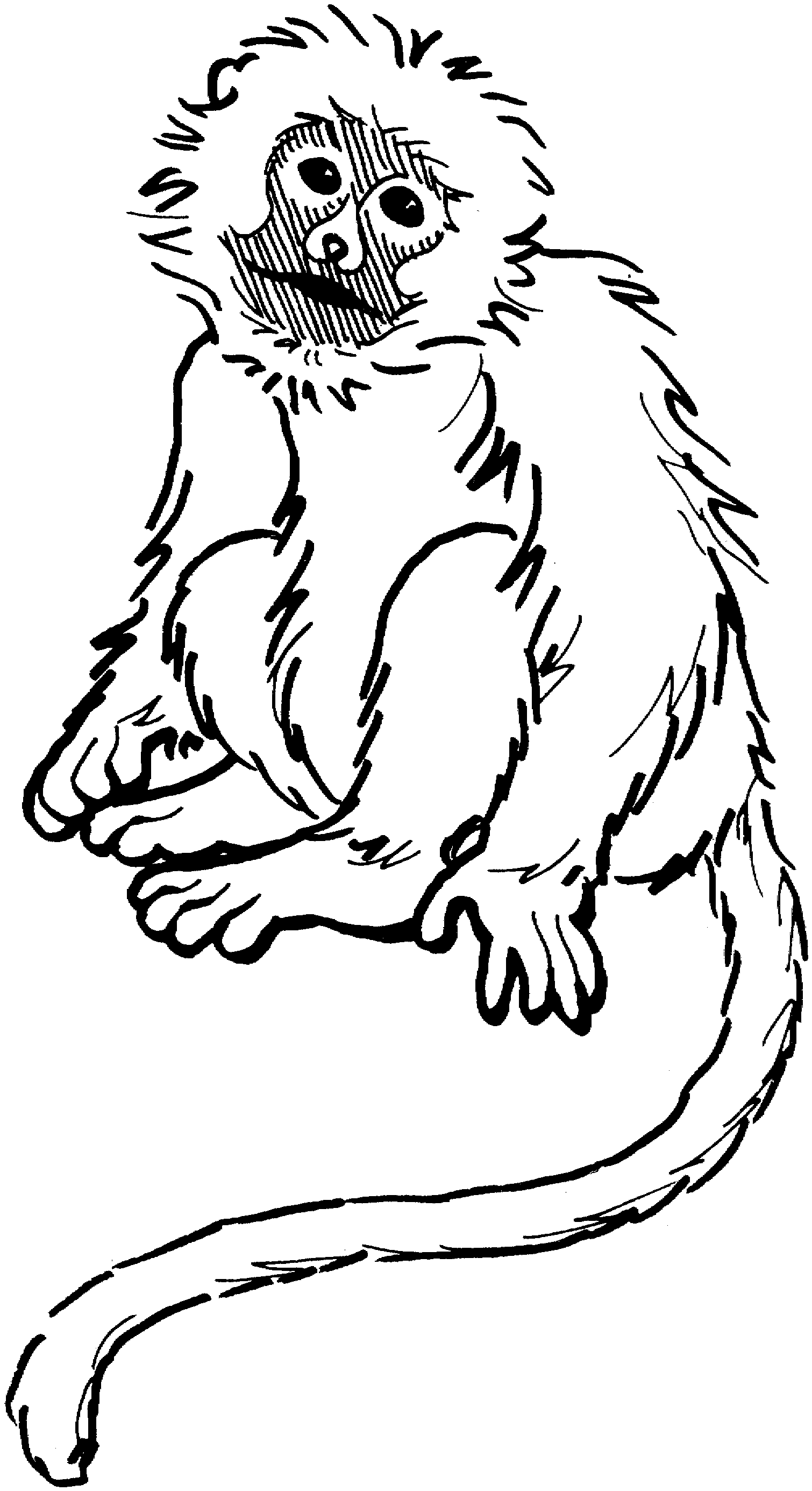 Monkey Coloring Pages | Love coloring pages | #20