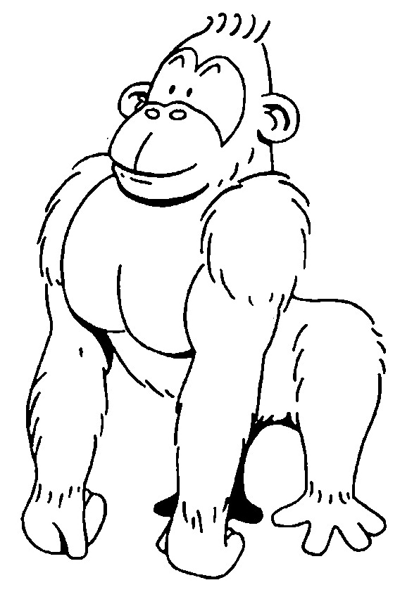Monkey Coloring Pages | Love coloring pages | #23