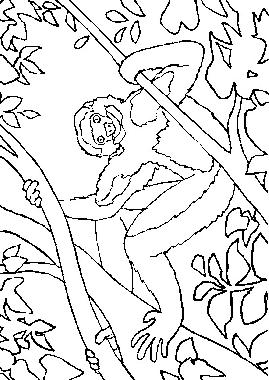 Monkey Coloring Pages | Love coloring pages | #27