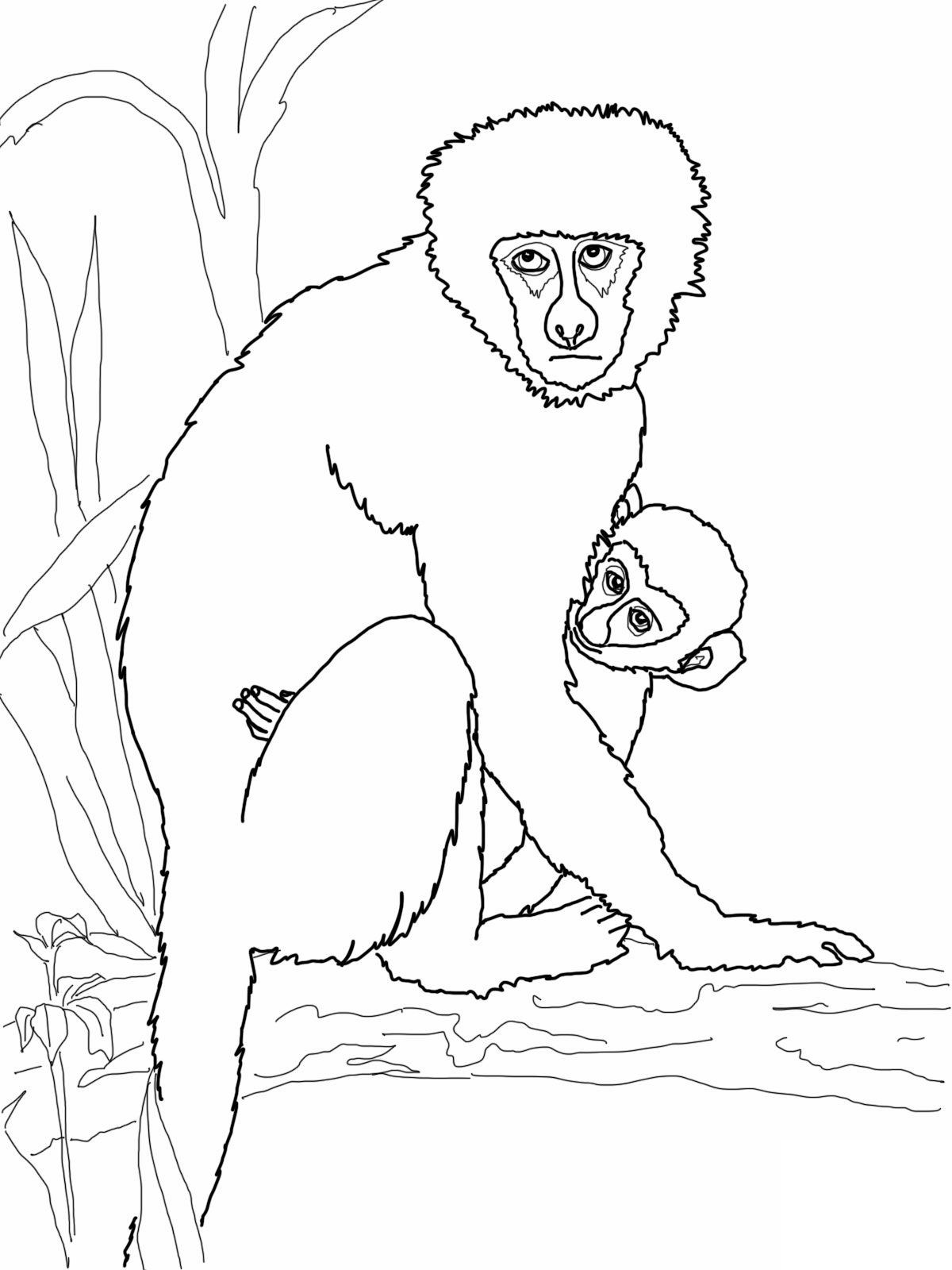  Monkey Coloring Pages | Love coloring pages | #28