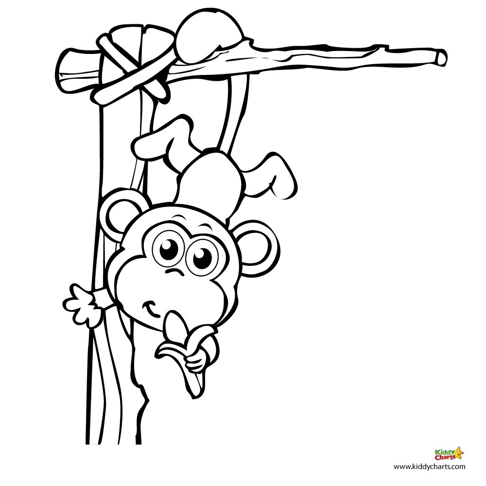  Monkey Coloring Pages | Love coloring pages | #9