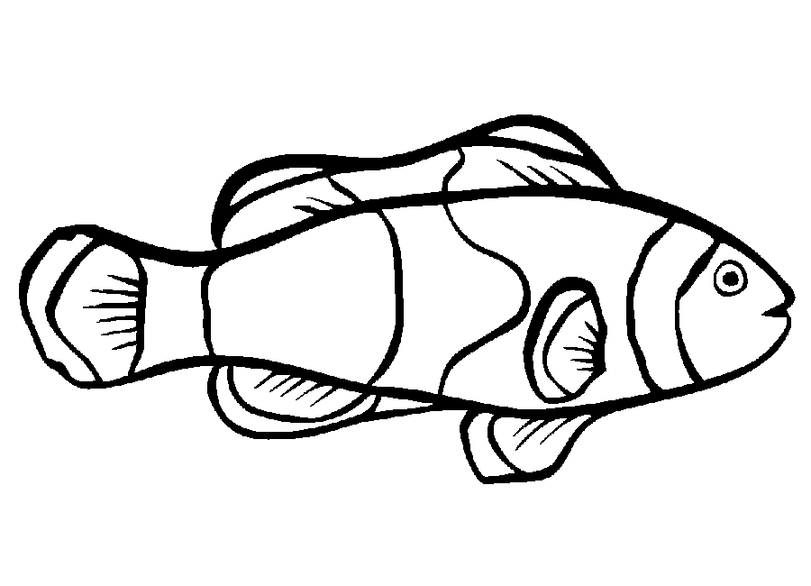  Fish Coloring Pages | print coloring pages | Kids printable coloring pages | #19
