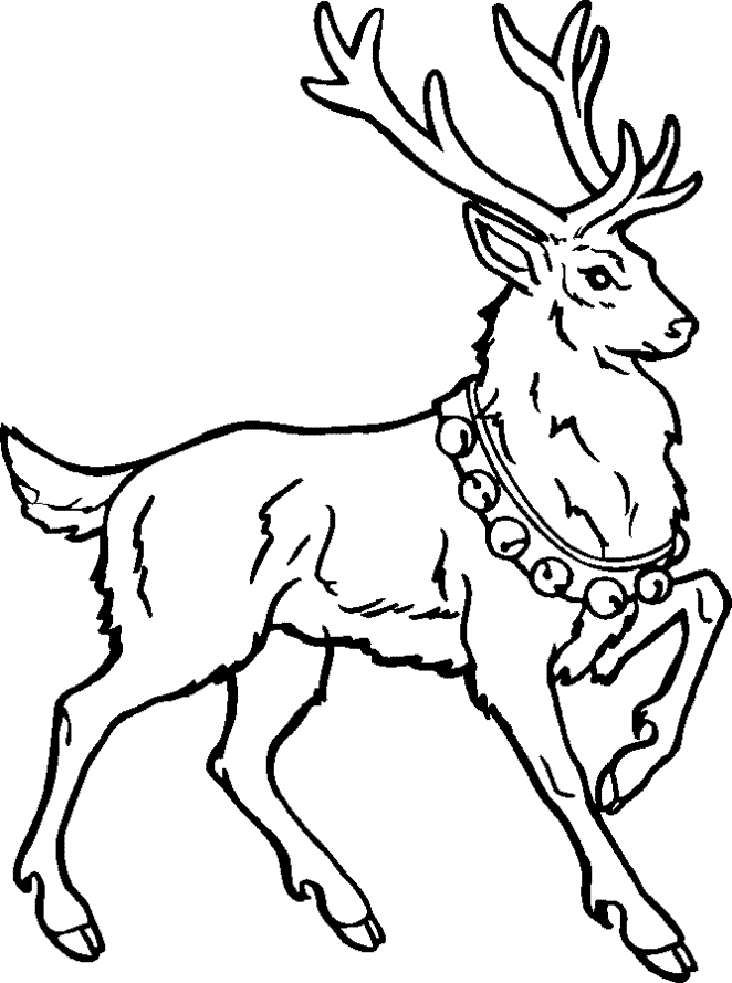 Coloring Pages Christmas | Coloring pages for Christmas | Christmas trees coloring pages | #4