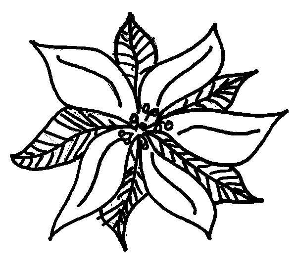  Poinsettia Coloring Pages Christmas | Coloring pages for Christmas | Christmas trees coloring pages