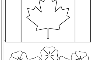 Remembrance Day coloring pages | Remembrance Day colouring pages | #11