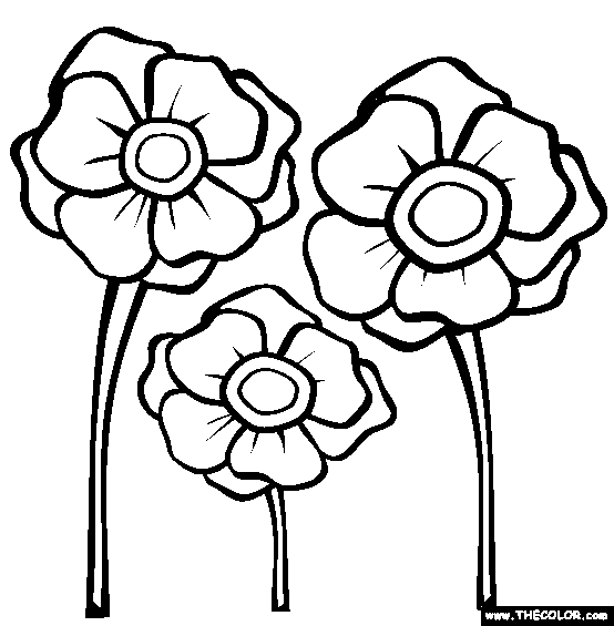 Remembrance Day coloring pages | Remembrance Day colouring pages | #15
