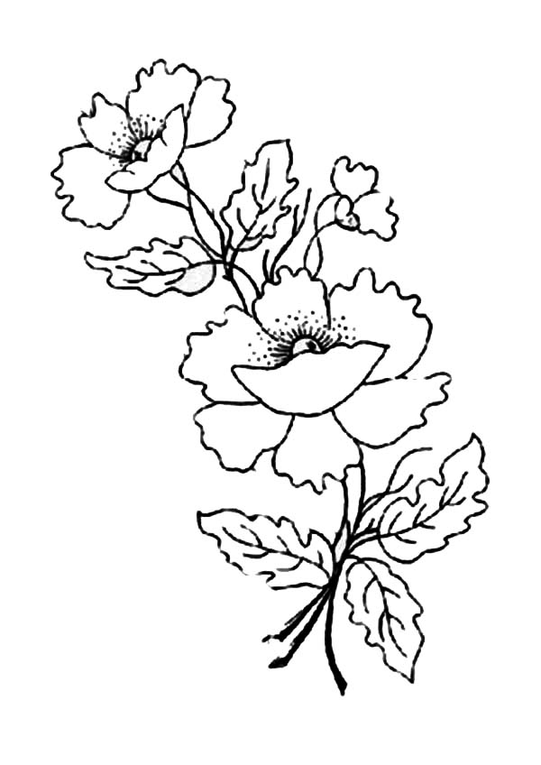  Remembrance Day coloring pages | Remembrance Day colouring pages | #21