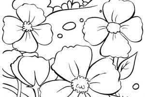 Remembrance Day coloring pages | Remembrance Day colouring pages | #4