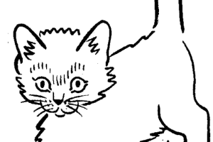 Kitten Coloring Pages | Coloring pages for Girls | #3