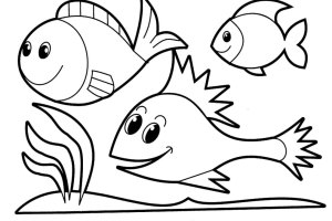 3 Fish Coloring Pages of Animals