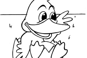 Baby Duck Coloring Pages of Animals