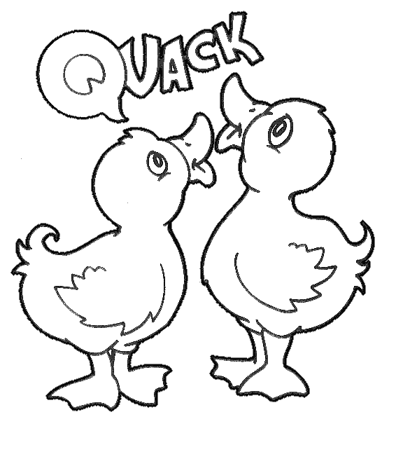 Cute Chick Coloring Pages of Animals