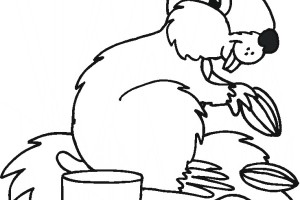 Hamster Coloring Pages of Animals