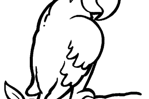 Parrot Coloring Pages of Animals
