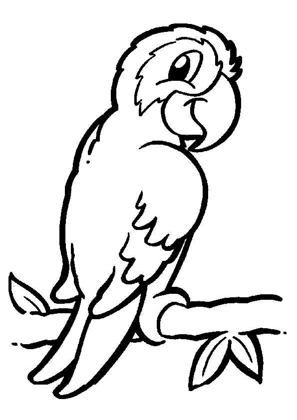 Parrot Coloring Pages of Animals