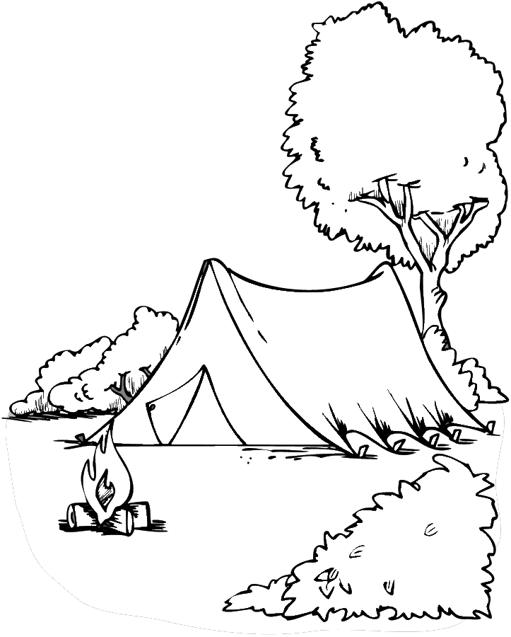  Camping Coloring page | Coloring pages to print | Color Printing |