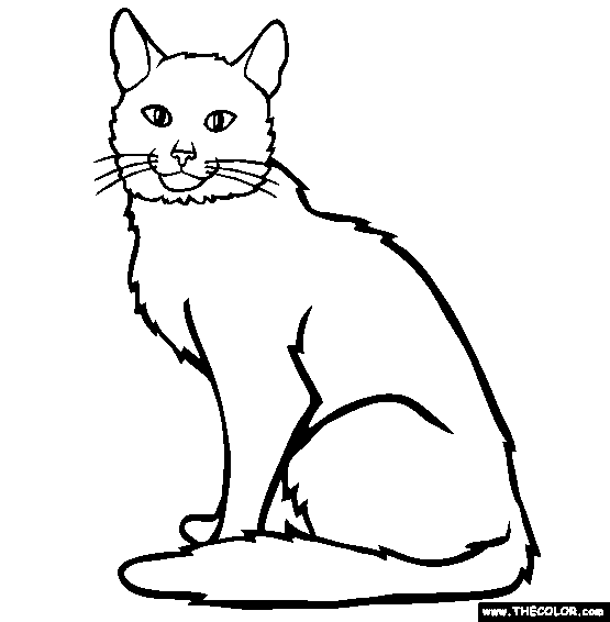 Cat Coloring Pages | Cats Coloring pages | Cool cats | #2