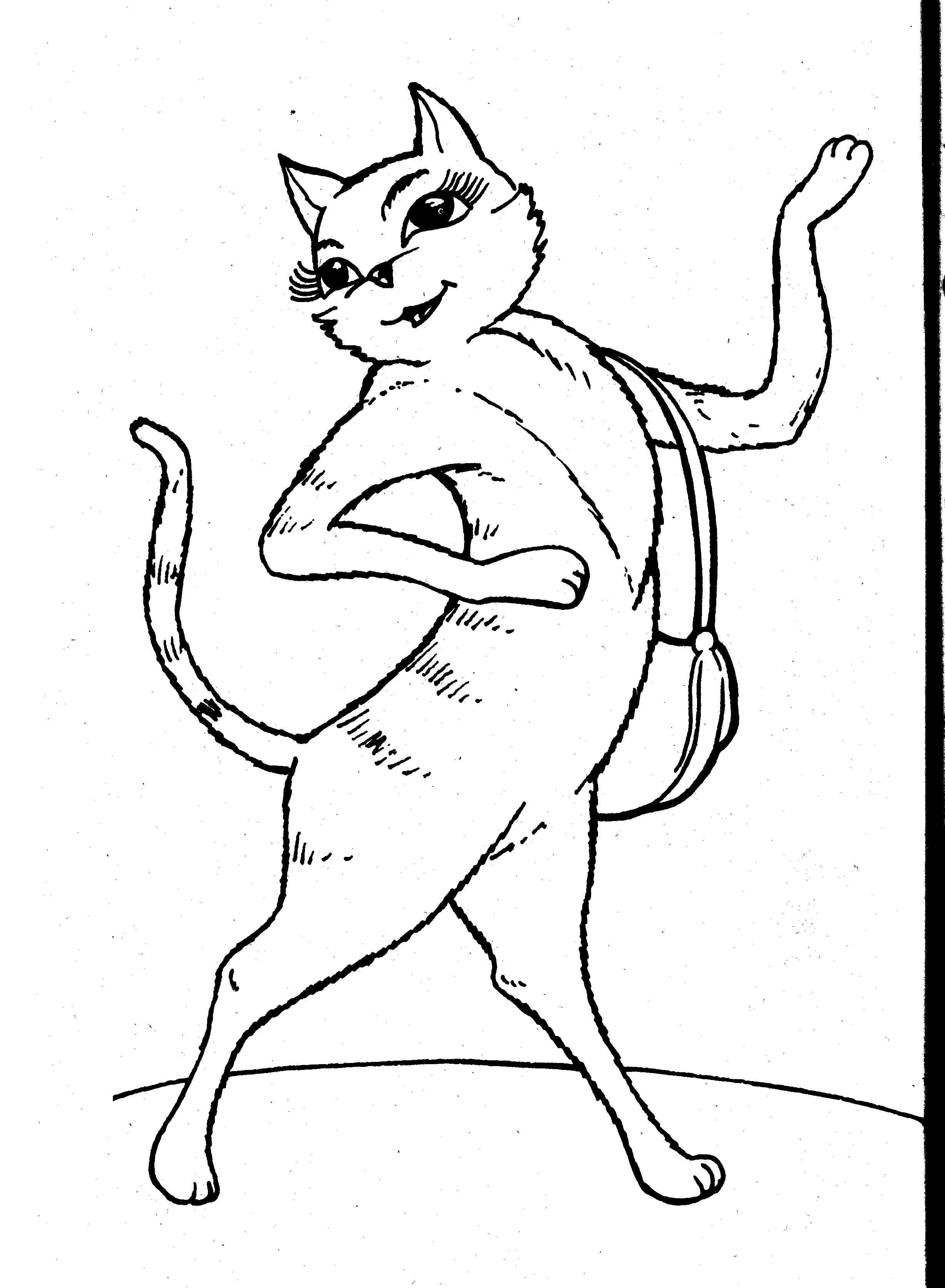  Cat Coloring Pages | Cats Coloring pages |Kitten Coloring pages | Cool cats | #11