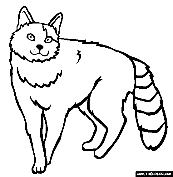 Cat Coloring Pages | Cats Coloring pages |Kitten Coloring pages | Cool cats | #12