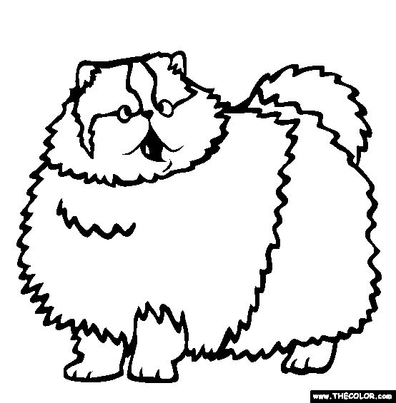 Cat Coloring Pages | Cats Coloring pages |Kitten Coloring pages | Cool cats | #26