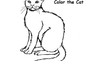 Cat Coloring Pages | Cats Coloring pages |Kitten Coloring pages | Cool cats | #28