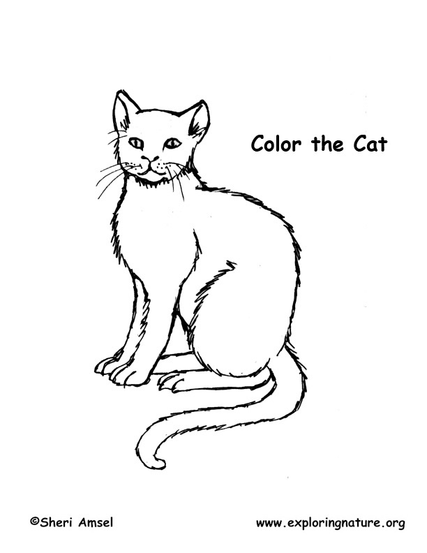  Cat Coloring Pages | Cats Coloring pages |Kitten Coloring pages | Cool cats | #28
