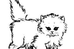 Cat Coloring Pages | Cats Coloring pages |Kitten Coloring pages | Cool cats | #37