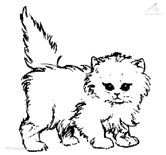  Cat Coloring Pages | Cats Coloring pages |Kitten Coloring pages | Cool cats | #37