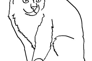 Cat Coloring Pages | Cats Coloring pages |Kitten Coloring pages | Cool cats | #39