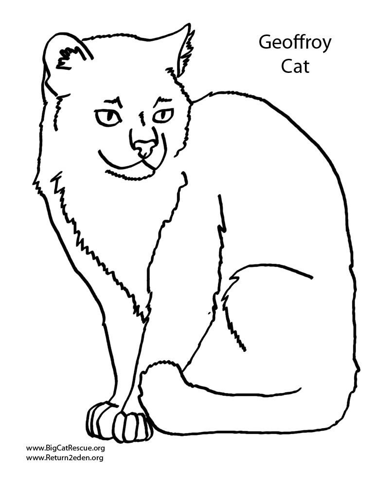  Cat Coloring Pages | Cats Coloring pages |Kitten Coloring pages | Cool cats | #39