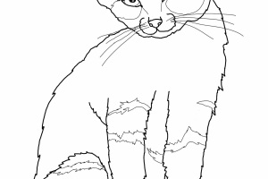 Crazy Cat Coloring Pages | Cats Coloring pages | Cool cats