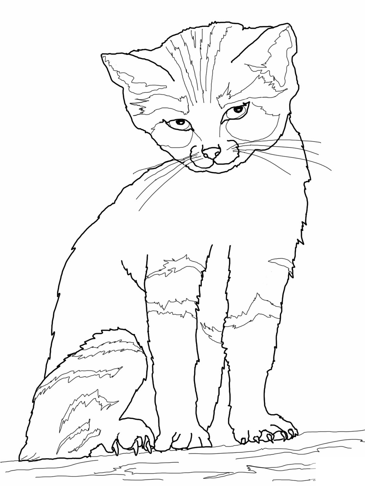  Crazy Cat Coloring Pages | Cats Coloring pages | Cool cats