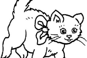 Cute Cat Coloring Pages | Cats Coloring pages | Cool cats