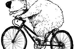 Hot bear on Bike Coloring page | Coloring pages to print | Color Printing |