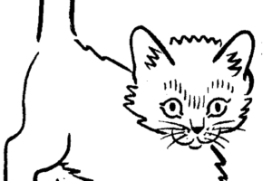 Little funny Cat Coloring Pages | Cats Coloring pages | Cool cats