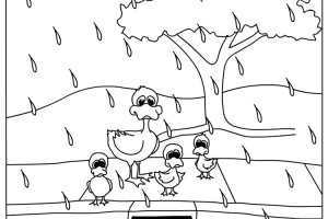 Duck Family Water Coloring Pages |Spring coloring pages