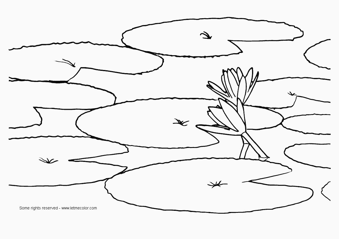 Flower Water Coloring Pages |Spring coloring pages