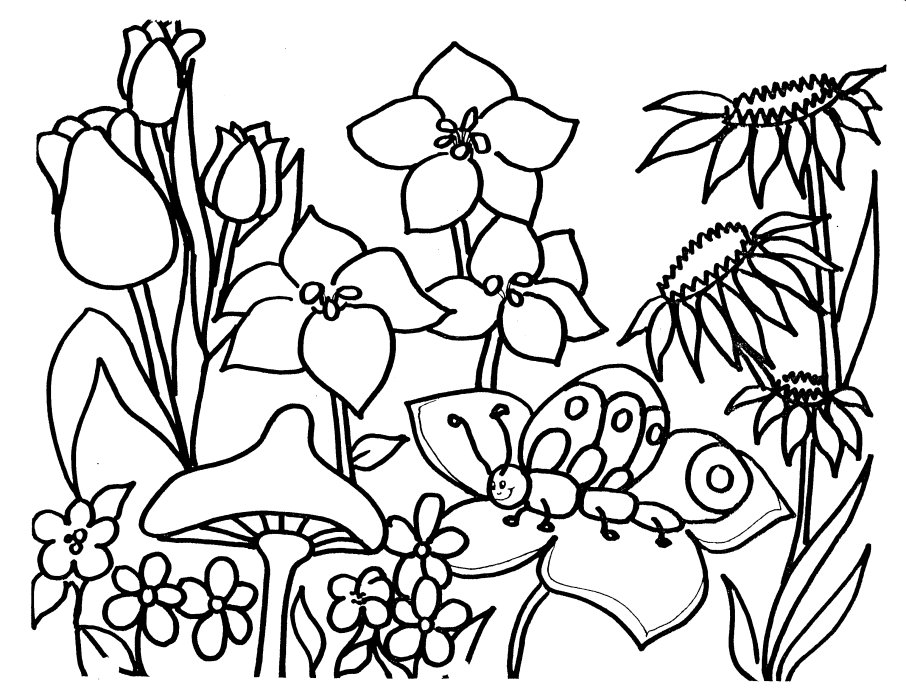  Spring Pictures Coloring pages | Spring Colouring pages | #21