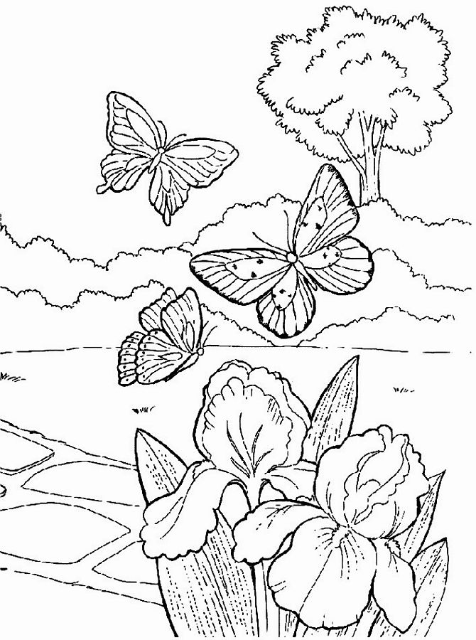 Spring Pictures Coloring pages | Spring Colouring pages | #4