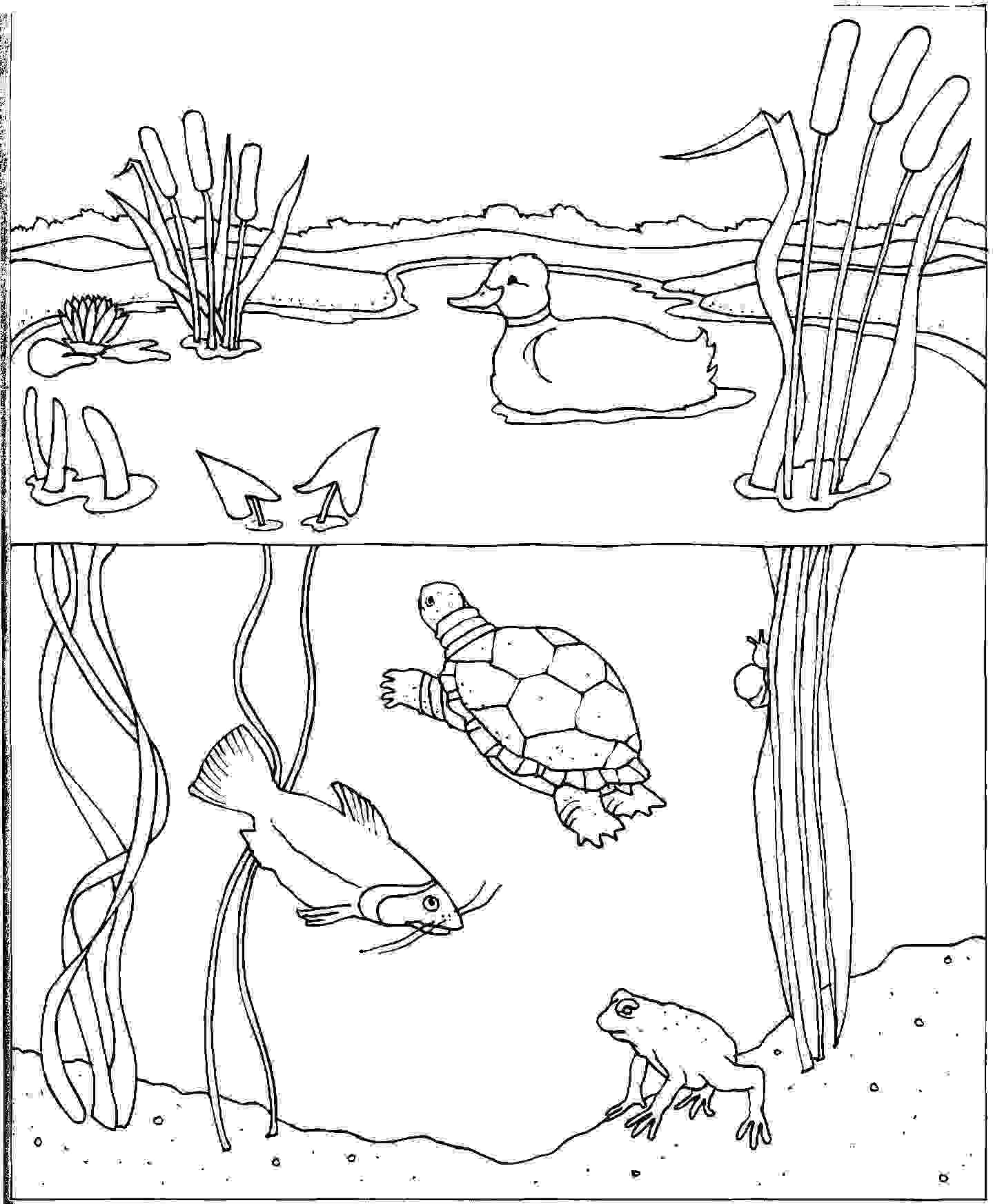  Under Water Coloring Pages |Spring coloring pages