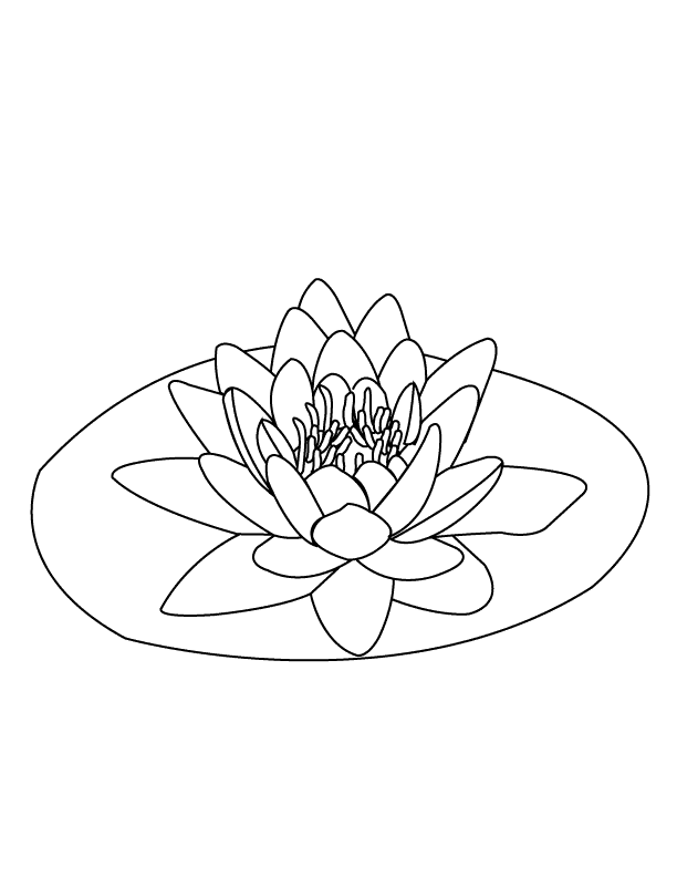 Water lily Water Coloring Pages |Spring coloring pages